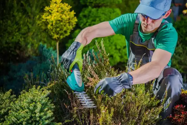 landscaping services St. Joseph